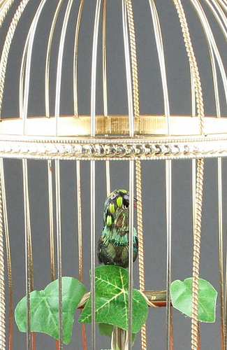 Small single bird-in-cage, by Karl Griesbaum